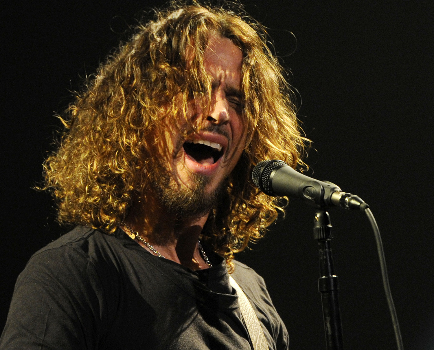 Chris cornell фото